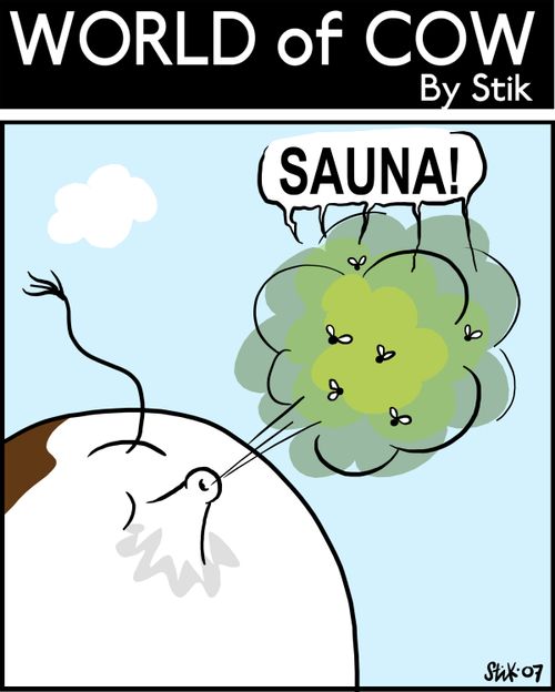 Flies being hit by a cow fart shouting 'sauna!'