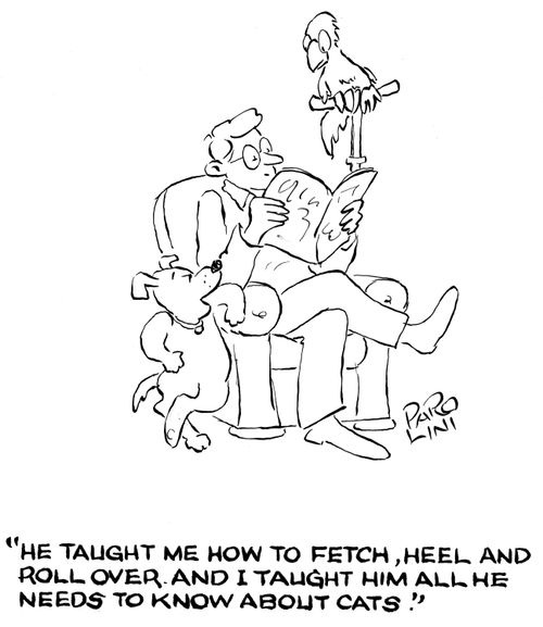 'He taught me how to fetch, heel and roll over. And I taught him all he needs to know about cats.'