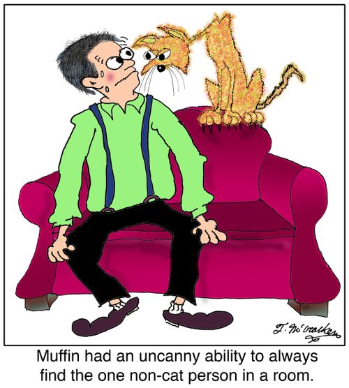 Muffin had an uncanny ability to always find the one non-cat person in a room.