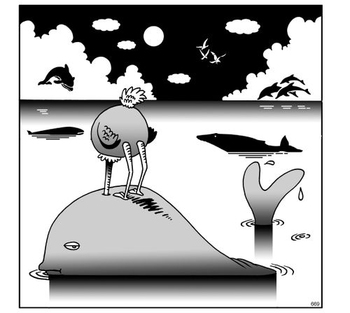 Bizarre sights.