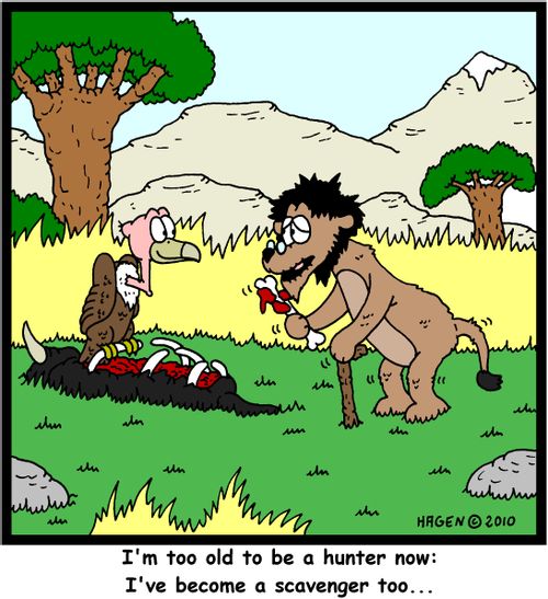 'I'm too old to be a hunter now: I've become a scavenger too...'
