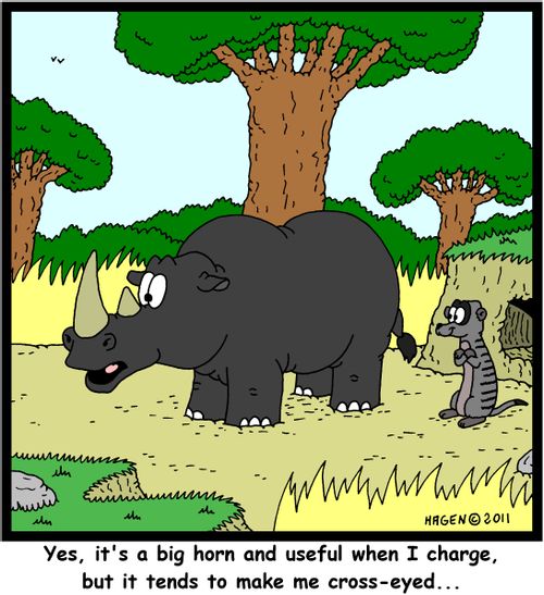 'Yes, it's a big horn and useful when I charge, but it tends to make me cross-eyed...'