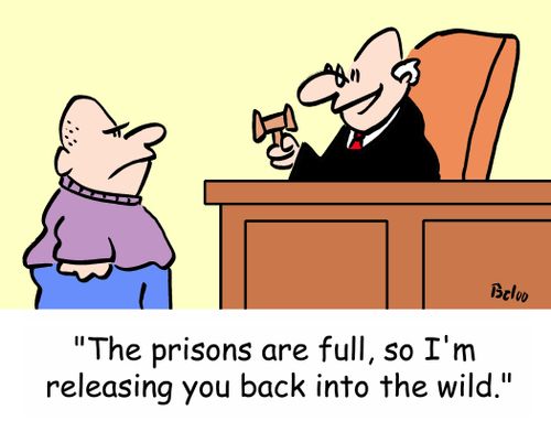 'The prisons are full, so I'm releasing you back into the wild.'