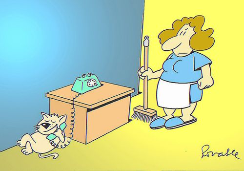 Cat on telephone, to cleaner's surprise.