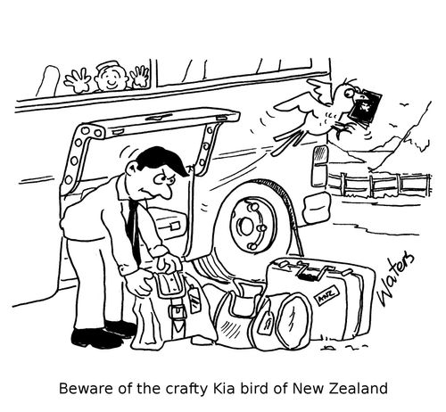 Beware of the crafty Kia bird of New Zealand.