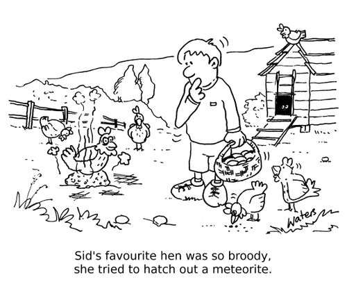 Sid's favourite hen was so broody, she tried to hatch out a meteorite.