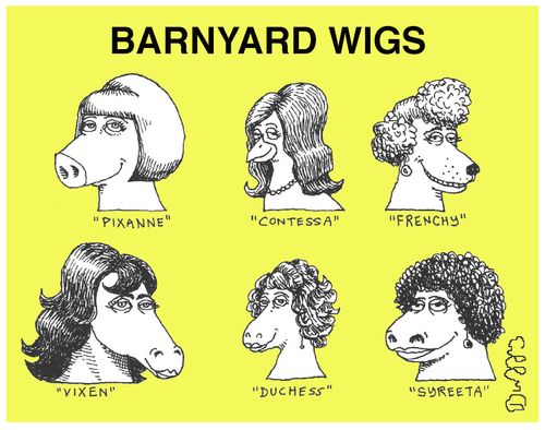 Barnyard wigs.