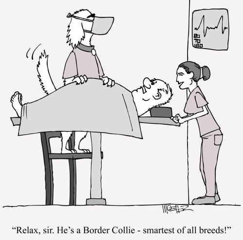 'Relax, sir. He's a Border Colie - smartest of all breeds!'