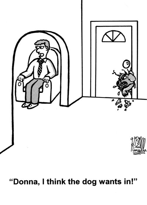 'Donna, I think the dog wants in!'