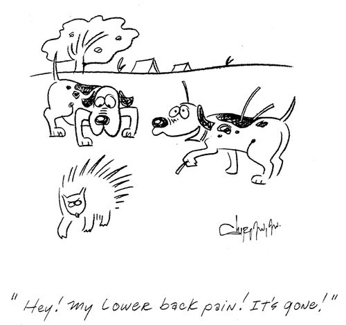 'Hey! My lower back pain! It's gone!'