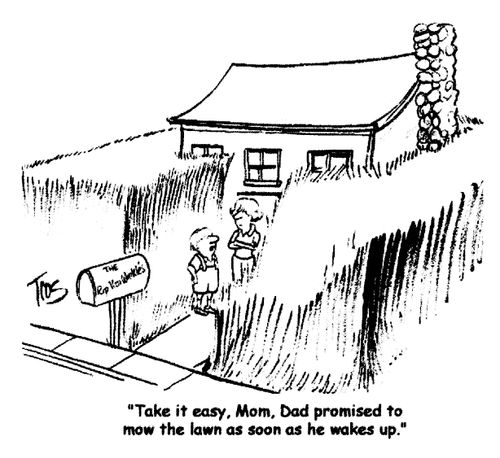 'Take it easy, Mom, Dad promised to mow the lawn as soon as he wakes up.'