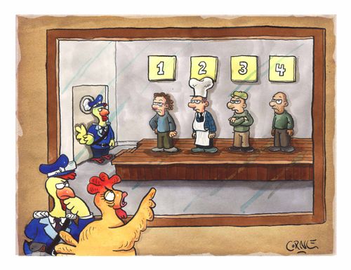 Chicken picking a chef in a police line up