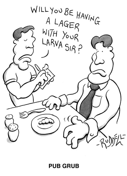 Pub Grub