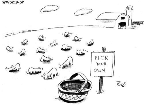 PICK YOUR OWN