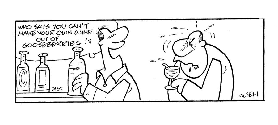 'Who says you can't make your own wine out of gooseberries?'
