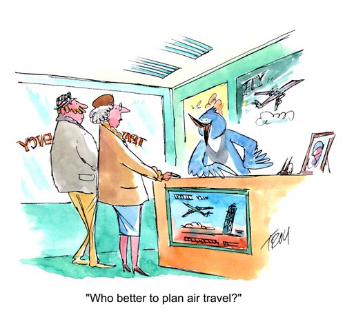 'Who better to plan air travel?'