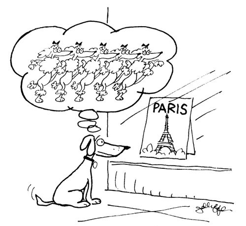 Paris Poodles.