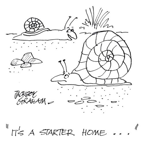 "It's a starter home..."