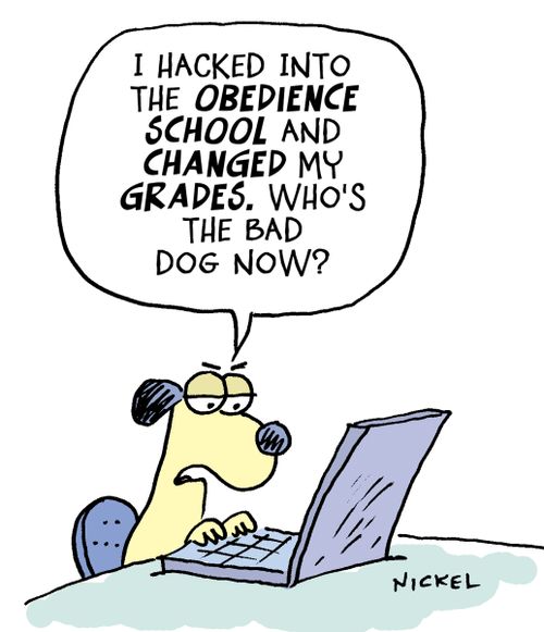 "I hacked into the obedience school and changed my grades.  Who's the bad dog now?"