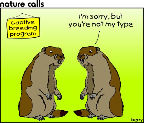 "I'm sorry, but you're not my type."