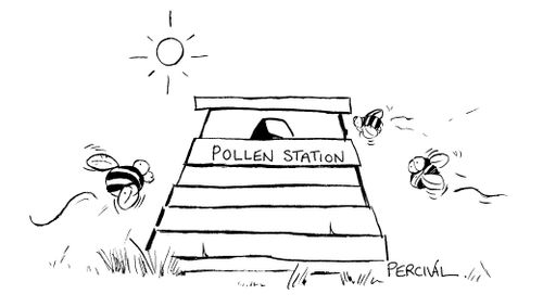 Bees voting at a Pollen Station.
