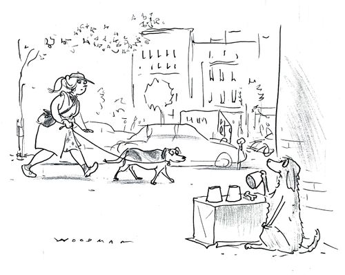 Dog doing tricks on street corner.