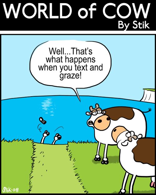 Well...That's what happens when you text and graze!