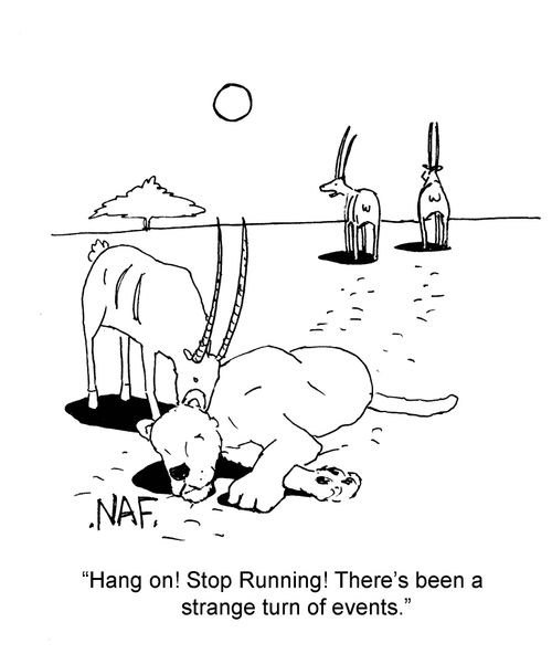 'Hang on! Stop running! There's been a strange turn of events.' 