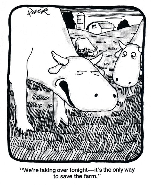 'We're taking over tonight, it's the only way to save the farm.'