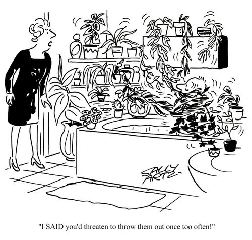 'I SAID you'd threatened to throw them out once too often!'