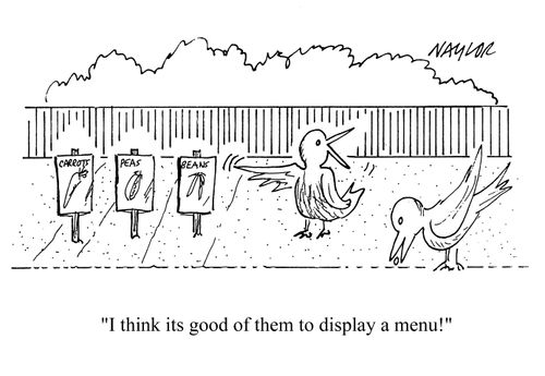 'I think it's a good display menu.'