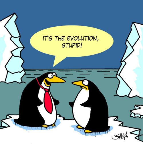 'It's the evolution, stupid!'
