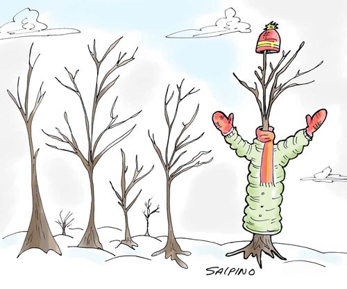 Wrapping up trees.