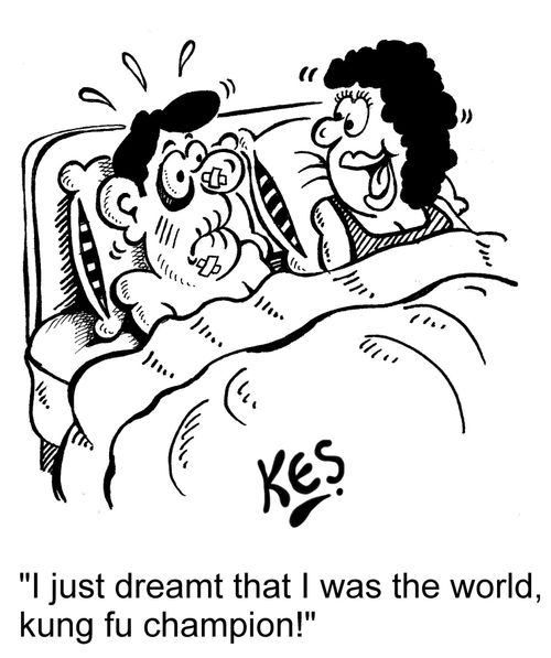 'I just dreamt that I was the world, kung fu champion!'