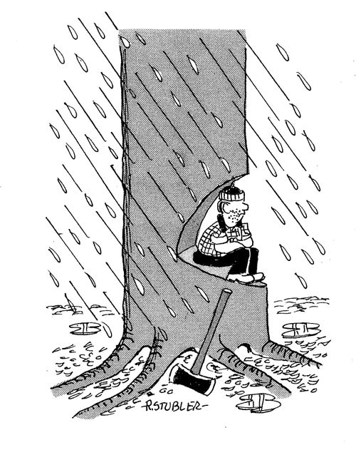 Lumberjack cutting down tree in the rain.