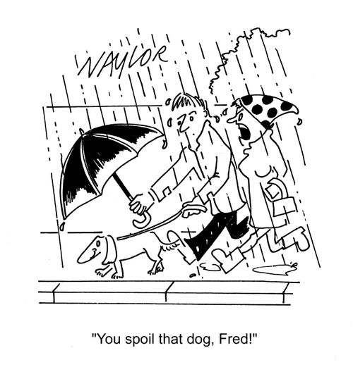 'You spoil that dog, Fred.'