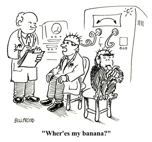 'Where's my banana?'