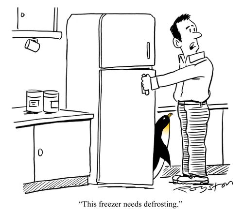 Penguin emerges from freezer. Man says: 'This freezer needs defrosting.'