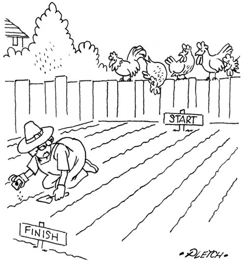 Chickens watching a lady sew seeds.
