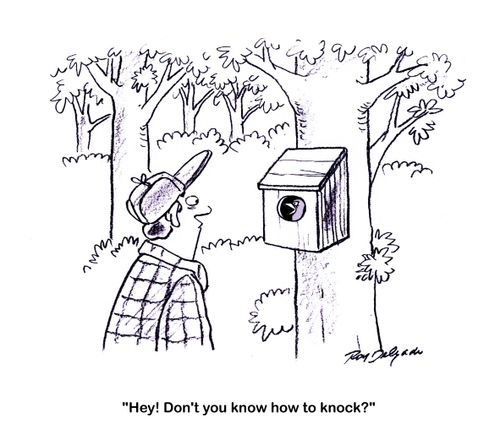'Hey! Don't you know how to knock?'