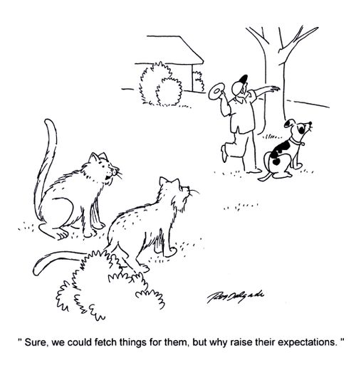 'Sure, we could fetch things for them, but why raise their expectations.'