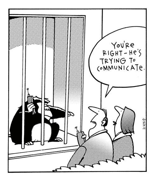 'You're right - he's trying to communicate.'