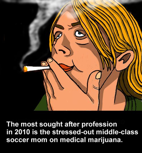 The most sought after profession in 2010 is stressed out, middle class, soccer mom on medical marijuana.