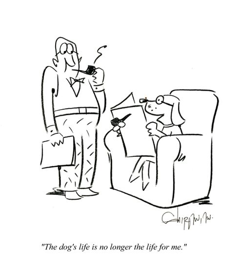 'The dog's life is no longer the life for me.'