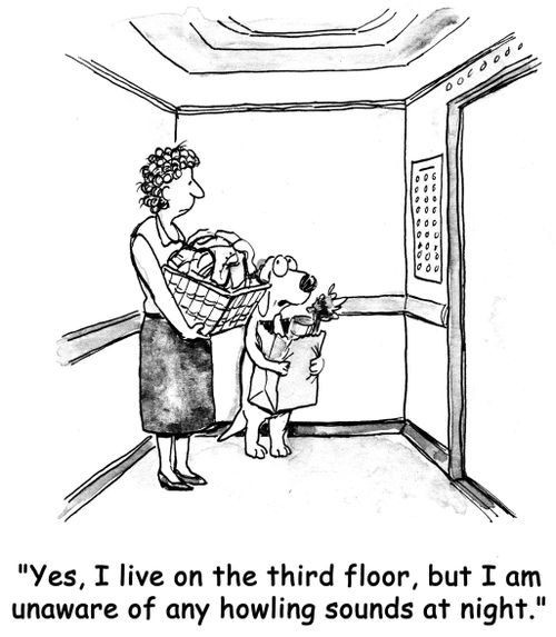 'Yes, I live on the third floor, but I am unaware of any howling sounds at night.'