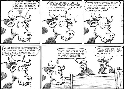 I don't know what my beef is today...