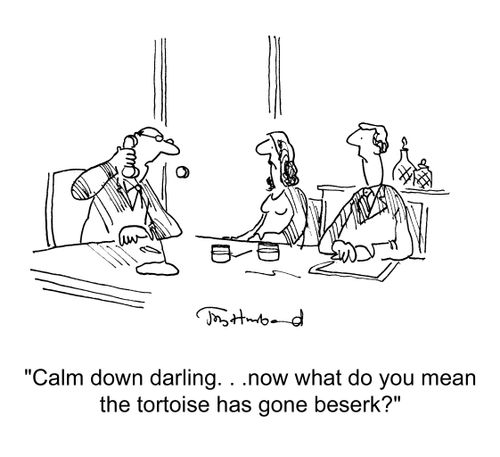 'Calm down darling... now what do you mean the tortoise has gone berserk?'