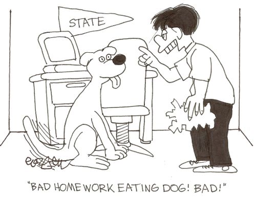 'Bad homework eating dog! Bad!'