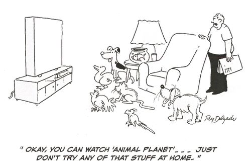 'Okay, you can watch 'animal planet'....just don't try any of that stuff at home.'