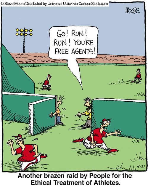 Another brazen raid by People for the Ethical Treatment of Athletes.